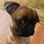 Monica Christopherson's profile image