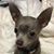 Debra Barnett's profile image