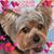 Linda Furlong's profile image