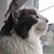 Lisa Marr's profile image
