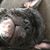 Kelly Collins Kjersgard's profile image