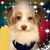 Grace Abrigo Thompson's profile image