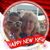 Doris McMaster's profile image