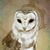 Heather Holmes Bell's profile image