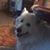 Barbara Dash's profile image