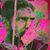 Katie Saxby's profile image