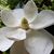 Patricia Crouch's profile image