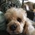 Kathi Wood's profile image