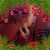 Stacie Glidewell Melnick's profile image