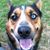 Brigg Stoll's profile image