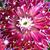 Nancy Craig's profile image