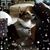 Rhonda Johnson Tockmakis's profile image