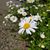 Christina Burkhardt's profile image
