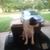 Jon B Pittman's profile image