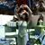 Patricia Gollotti's profile image