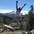 Sarah Calva McMahan's profile image