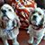 Jeanette John-Michael Nelson's profile image