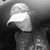 Jennifer Padgett Brewer's profile image