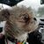 Darlene Ruchert's profile image