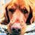 Stephanie Sorrell's profile image