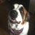 Nancy Shuster's profile image