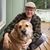 Steve Davison's profile image