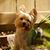 Steve Landress's profile image