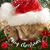 Linda Lakin Robinson's profile image