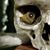 Bryan Korsmeyer's profile image