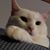 Bill Carpenter's profile image