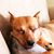 Keri Fullmer Hammel's profile image