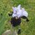 Sara Crimmons Bratcher's profile image