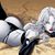 Amy P. Aleman's profile image