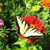 Joan Spratt's profile image
