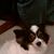 Fay Weaver's profile image