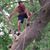 Jason Roush's profile image