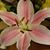 Marilyn Fletcher's profile image