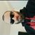 Shawn Cromer's profile image