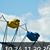 Karen Packala Cleary's profile image