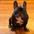 Tom Scheve's profile image