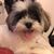 Karen Lee's profile image