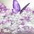 Robin Racine Germain's profile image