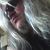 Jeff Wheeler's profile image