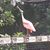 Lisa Ashmore's profile image