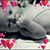 Bonnie Jewell's profile image