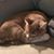 Imelda Galvan's profile image