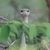 Julie Justice's profile image
