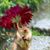Debra Hall's profile image