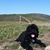 Deb Kupka's profile image