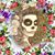 Lisa Chava's profile image